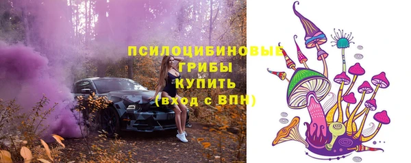 мдпв Вязьма