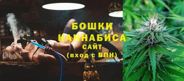 мдпв Вязьма